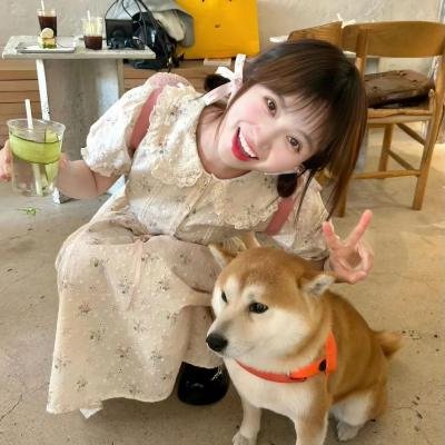 冈比