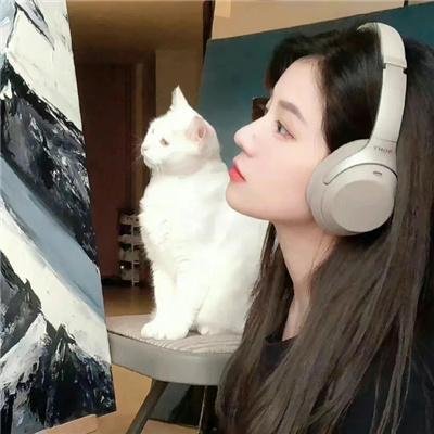 九凤家的锦鲤喵殿下