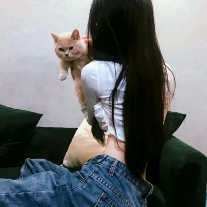 佳偶自天成